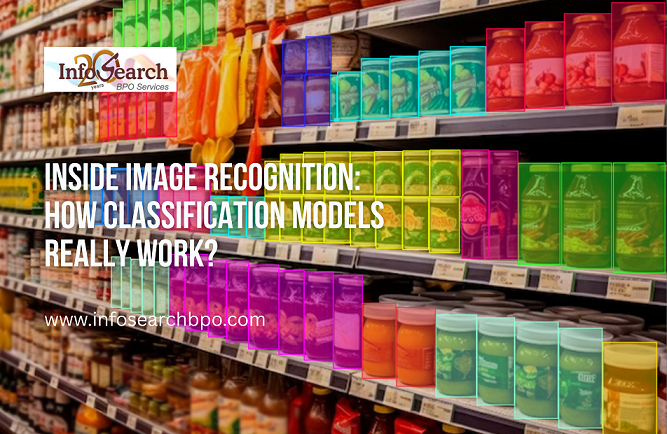 Inside Image Recognition: How Classification Models Really Work?