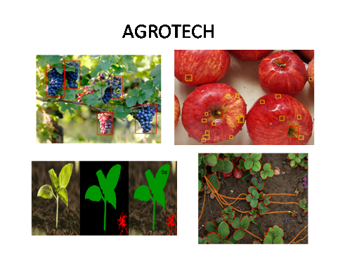 AI For Agrotech Industry