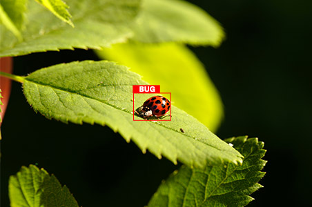 Bounding Box For Retail & ECommerce