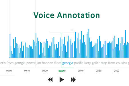 Voice / Audio Annotation For Speech Recognition