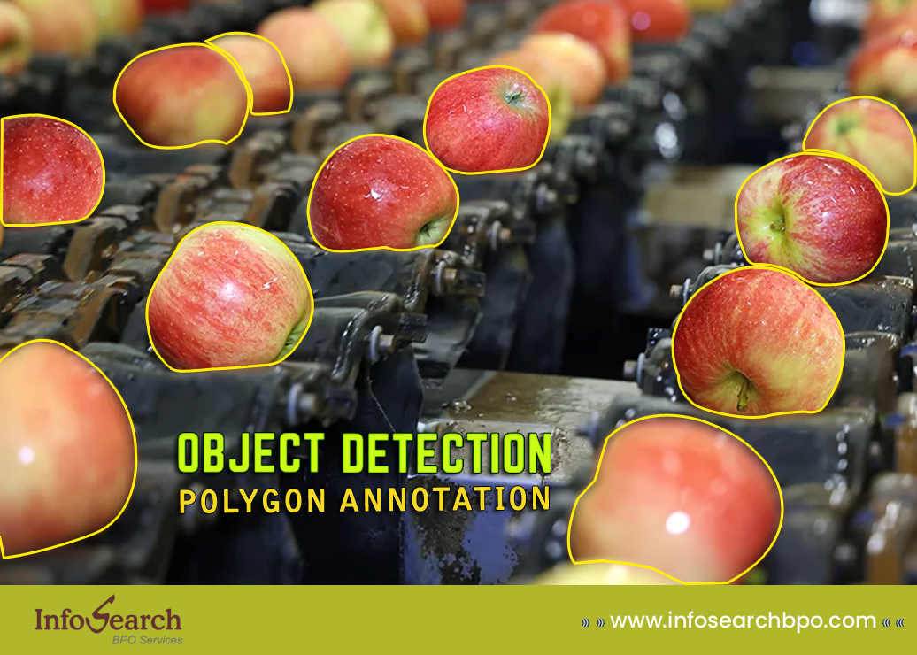 Object Detection